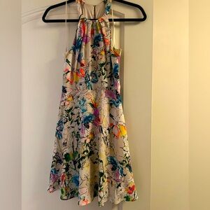 Express Floral Dress